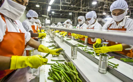 ₹40,000 Crore Reliance Deal, ₹25,760 Crore Coca-Cola Boost for Indian Food Sector