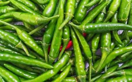 From Vitamin C to Digestion: Why Green Chilies Are a Superfood