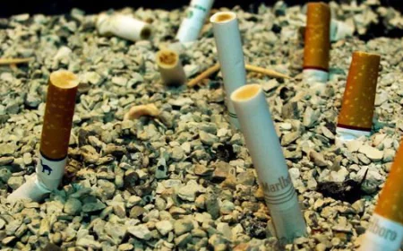 NCRB Report: 7,794 Environmental Offences in Rajasthan, 2nd Highest in Noise Pollution