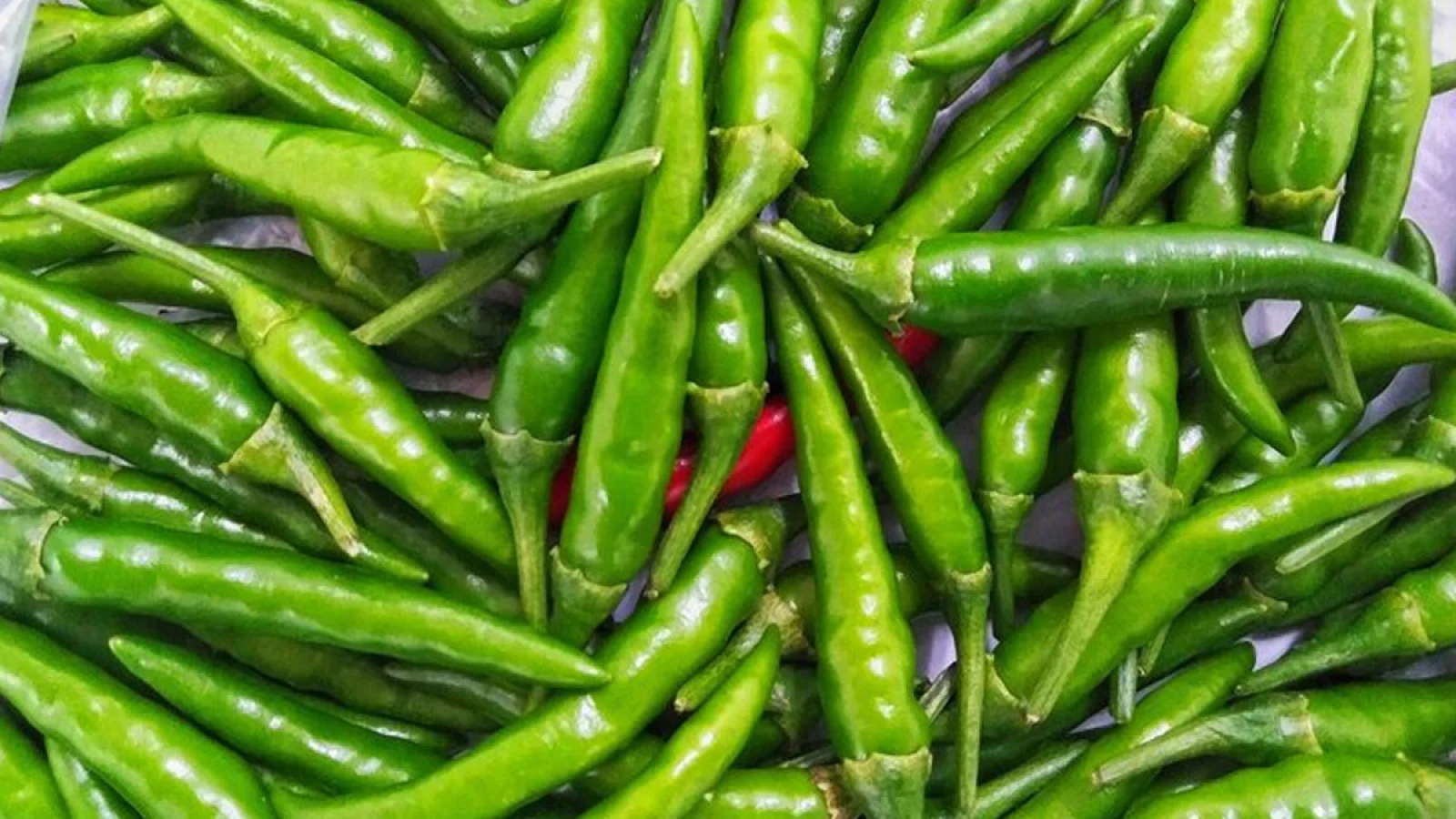 From Vitamin C to Digestion: Why Green Chilies Are a Superfood