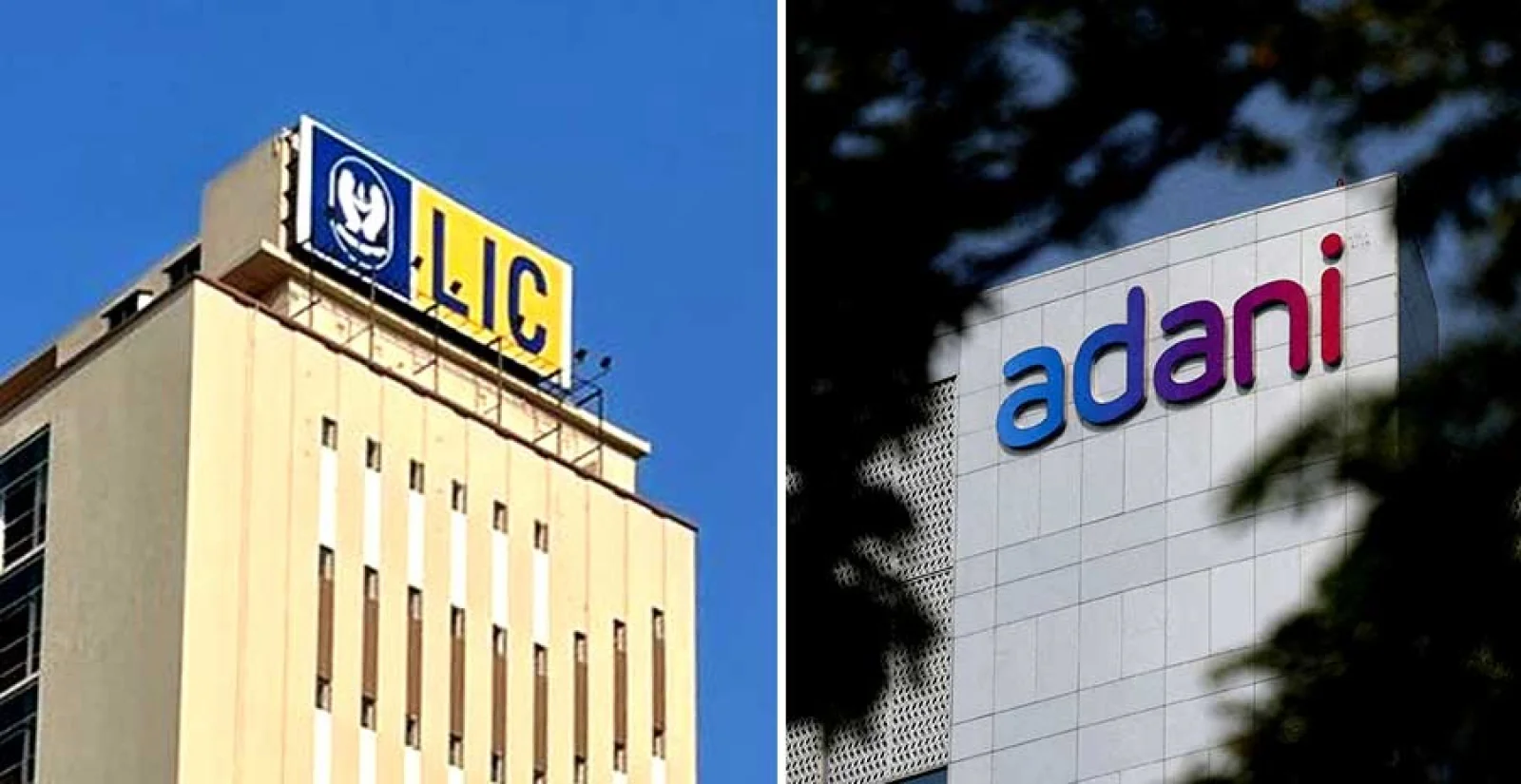 LIC Refutes Claims of Govt Influence in Adani Investments; Says All Decisions Made Independently