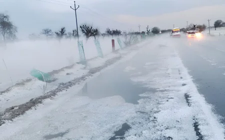 Rajasthan Weather Update: Clear Skies Ahead, Mild Winter and Slight Rise in Temperature Expected