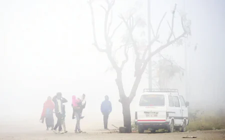Sikar Coldest in Rajasthan at 7°C as Winter Tightens Grip Across the State