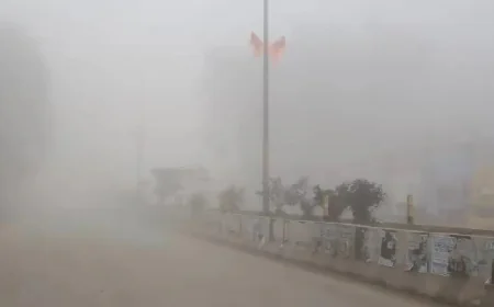 Rajasthan Shivers Under Early Winter; Sikar, Nagaur, and Fatehpur Among Coldest Spots