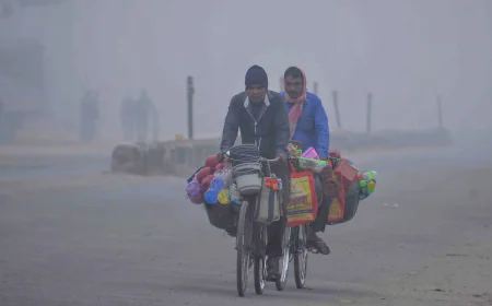Northerly Winds Deepen Chill Across Rajasthan; Cold Wave Warning for Sikar on Nov 18