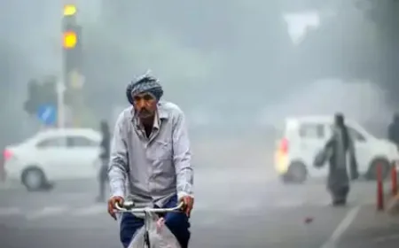 Rajasthan Freezes: Day Temperatures Fall Below 30°C Across Most Districts