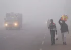 Cold Wave Eases in Rajasthan as Minimum Temperatures Climb Above 10°C in Many Areas
