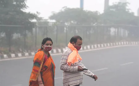 Cold Wave Grips Rajasthan: Temperatures Plunge, Yellow Alert Issued for Shekhawati