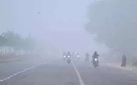 Cold Wave to Hit Rajasthan Again from December 10; Yellow Alert Issued for Four Districts