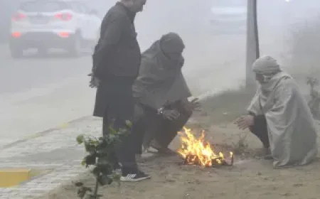 Rajasthan Reels Under Intense Cold Wave; Temperatures Dip Below 5°C in Several Districts