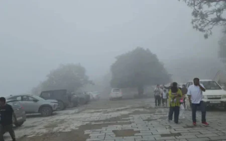 Western Disturbance Brings Relief From Cold in Rajasthan, Temperatures Rise Across Cities