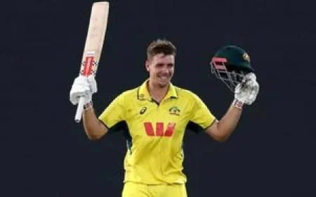 IPL 2026 Auction: Deepak Hooda Among Bowlers With Suspect Actions Flagged by BCCI