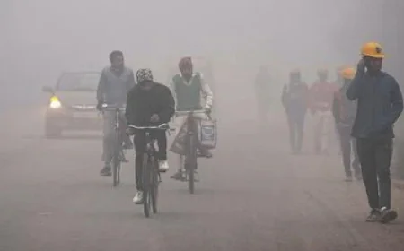 Cloud Cover Brings Relief From Cold as Western Disturbance Fades in Rajasthan