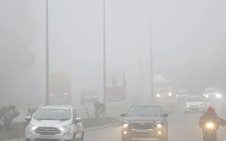 Dense Fog Returns to Rajasthan After Western Disturbance, Traffic Disrupted
