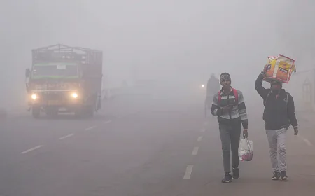 Cold Wave Returns to Rajasthan as Western Disturbance Ends, Dense Fog Disrupts Life