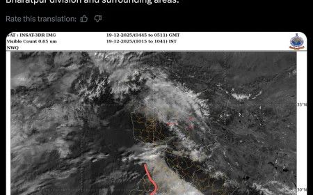 Rajasthan Weather Update: Temperature Rises, Cold Wave Alert Issued for December 22-23