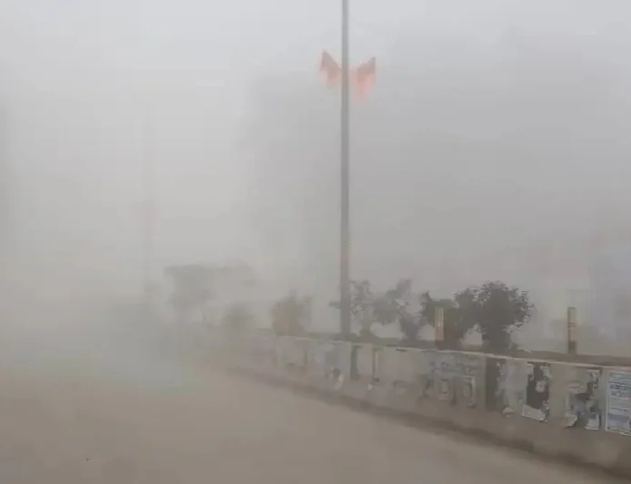 Eastern and Southeastern Rajasthan to Face Intense Cold; Western Region to See Moderate Chill