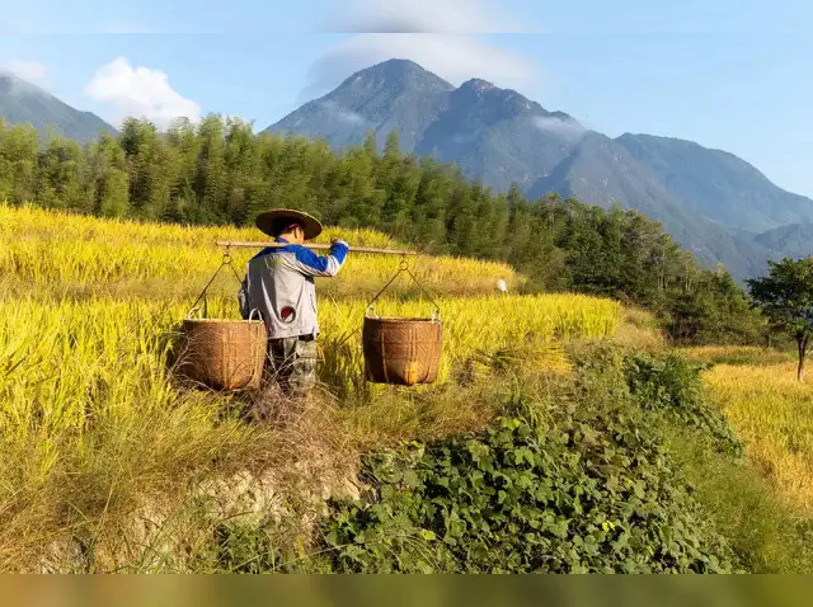National Farmers’ Day: ₹4,000 Cr Benefits Announced at Rajasthan State-Level Farmers’ Conference