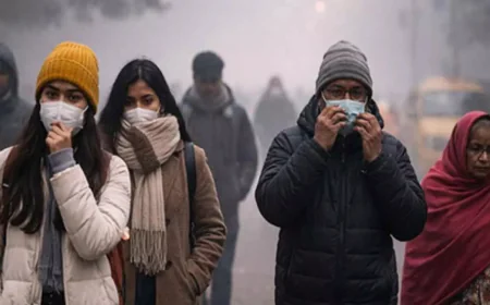 District Collectors Announce Temporary School Closure Amid Severe Cold