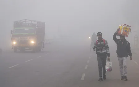 Rajasthan to Get Relief from Cold as Northern Winds Weaken from Jan 17