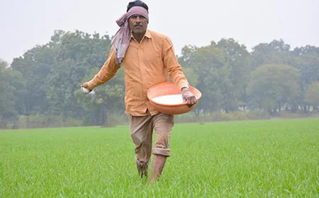 India’s Fertilizer Imports Seen Jumping 76% to Record $18 Billion in FY25