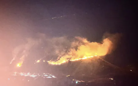 High-Altitude Wildfire Breaks Out in East Sikkim’s Pangolakha Sanctuary