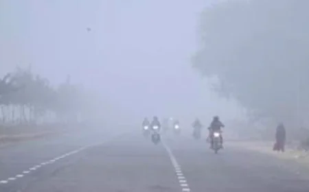 Severe Cold Tightens Grip on Shekhawati and Northwestern Rajasthan