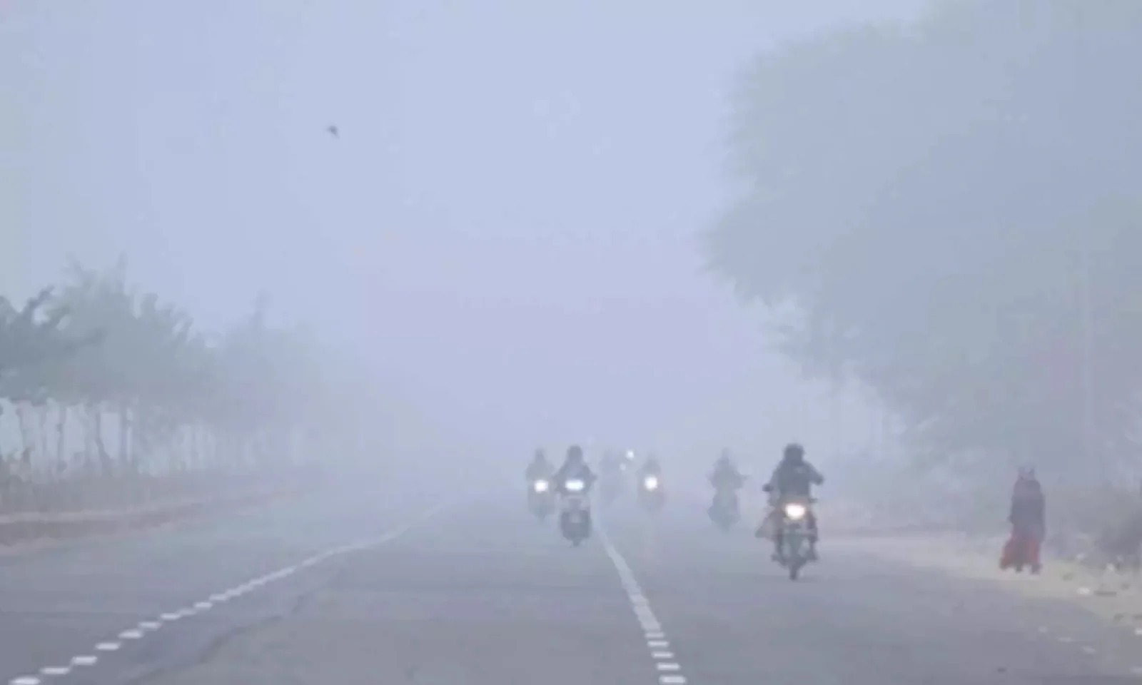 Rajasthan Shivers as Cold Wave Persists, Temperatures Dip Below Normal