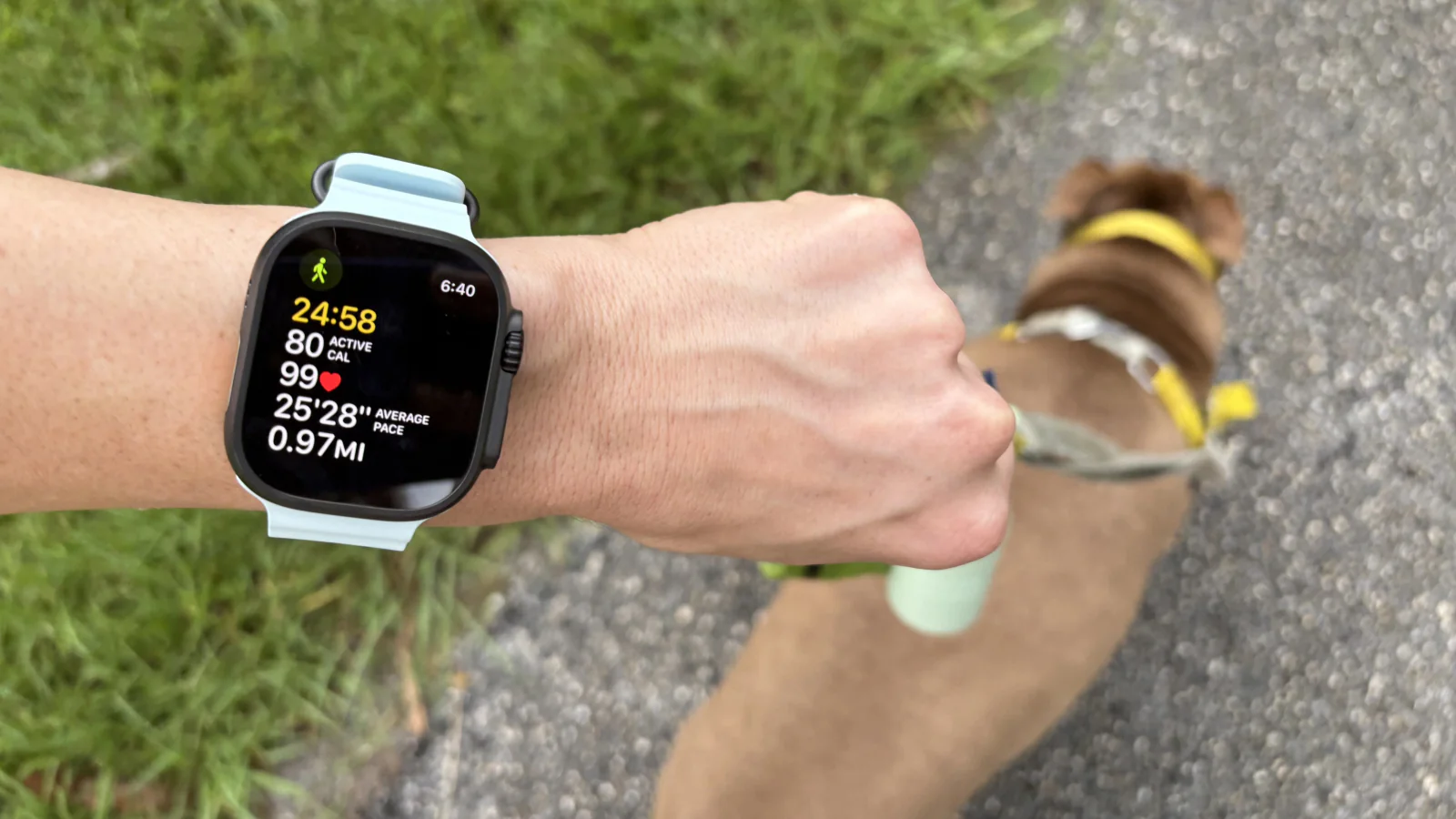 New Apple Watch Programs in 2026 Focus on Long-Term Fitness Motivation