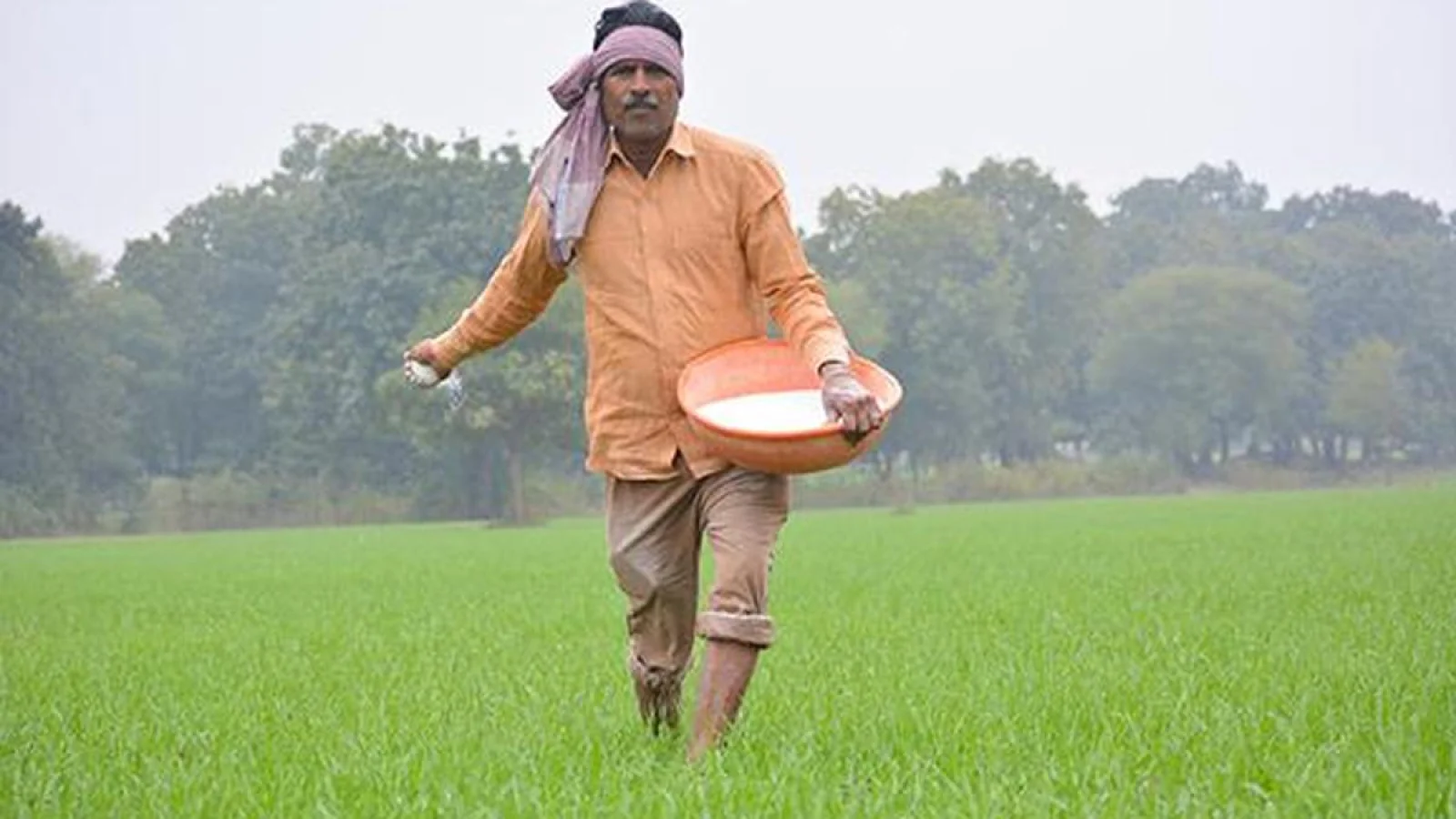 India’s Fertilizer Imports Seen Jumping 76% to Record $18 Billion in FY25