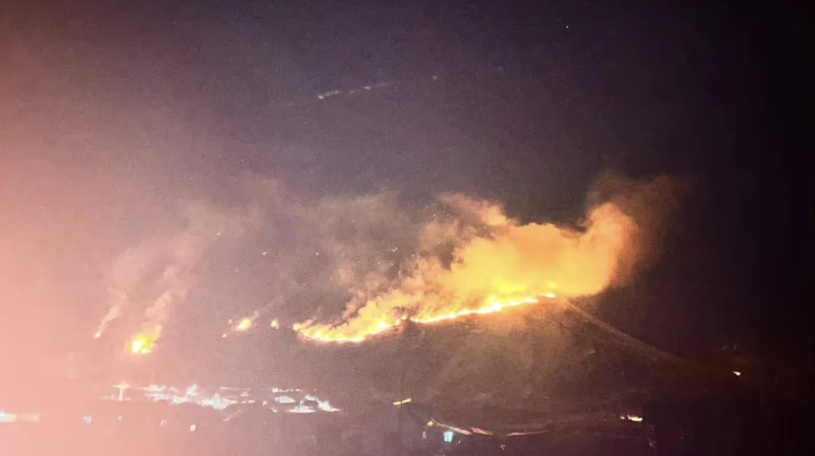 High-Altitude Wildfire Breaks Out in East Sikkim’s Pangolakha Sanctuary