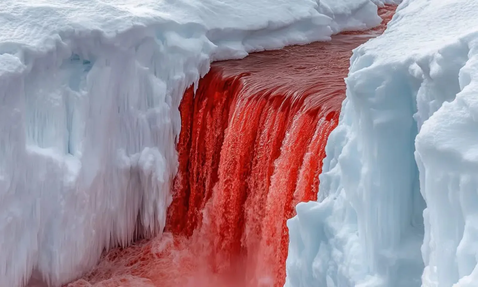 Antarctica’s ‘Blood Falls’: Why This Glacier Water Turns Blood-Red
