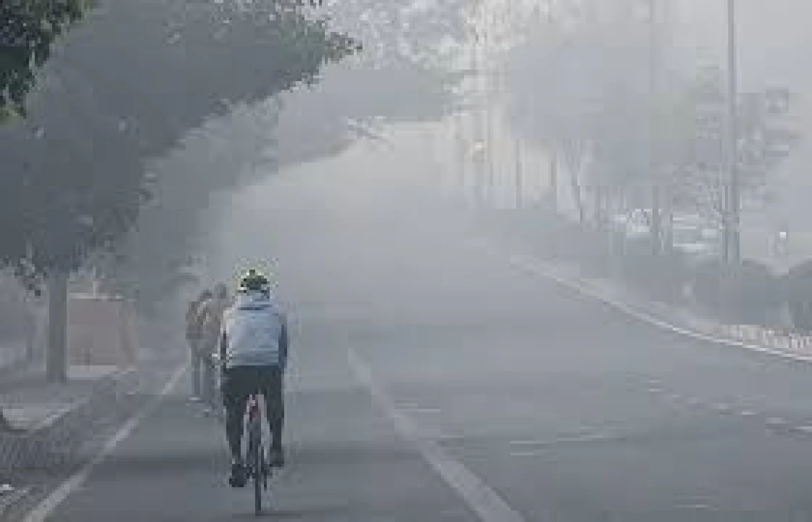 Cold Wave Alert Issued for 12 Districts in Rajasthan, Temperatures Drop Sharply