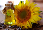 Hair Fall Control Tips: How Mixing Sunflower Oil With Coconut Oil Strengthens Hair
