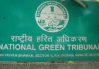 NGT Principal Bench Seeks Replies on Plea to Resume Mining in Ranthambore Region