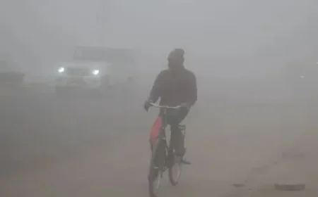 Rajasthan Weather Update: New Western Disturbance May Trigger Rain After Feb 18