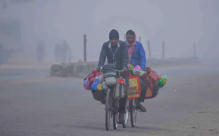 Rajasthan Sees Rising Day Temperatures, Cold Mornings to Continue