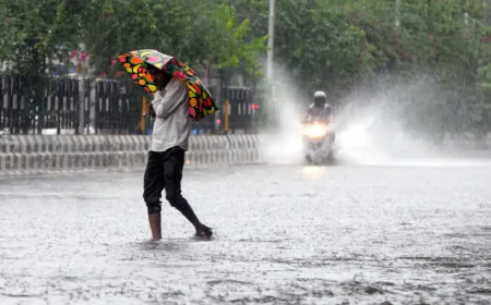 Rajasthan on Orange Alert as Western Disturbance Triggers Rain, Hail