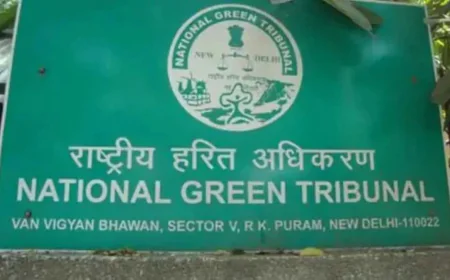 NGT Principal Bench Seeks Replies on Plea to Resume Mining in Ranthambore Region