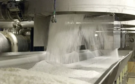 Indian Sugar and Bio-Energy Manufacturers Association Cuts Production Outlook Amid Falling Yields