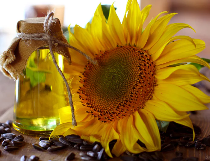 Hair Fall Control Tips: How Mixing Sunflower Oil With Coconut Oil Strengthens Hair