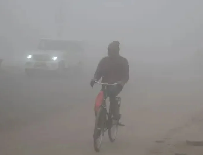 Rajasthan Weather Update: New Western Disturbance May Trigger Rain After Feb 18