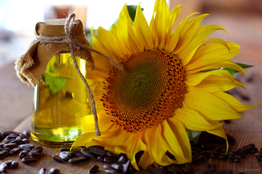 Hair Fall Management Suggestions: How Mixing Sunflower Oil With Coconut Oil Strengthens Hair – Imperial Wire Hair Fall Management Suggestions: How Mixing Sunflower Oil With Coconut Oil Strengthens Hair – Imperial Wire