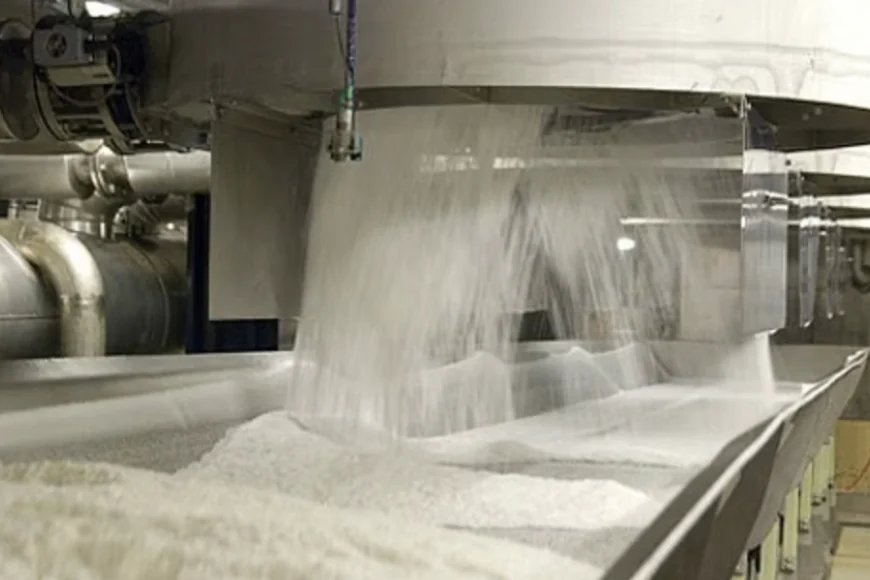 Indian Sugar and Bio-Energy Manufacturers Association Cuts Production Outlook Amid Falling Yields Indian Sugar and Bio-Energy Manufacturers Association Cuts Production Outlook Amid Falling Yields