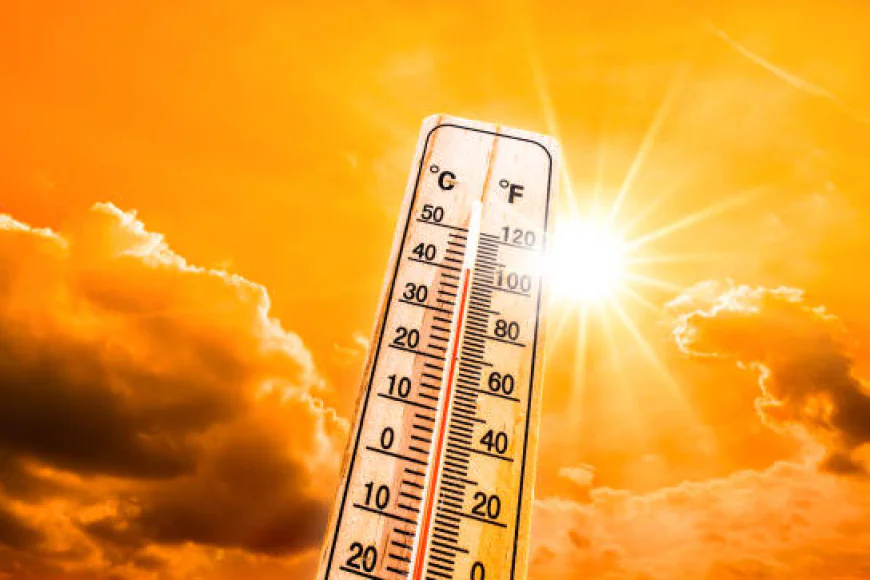 Scorching days, sleepless nights: Heatwave worsens across Rajasthan with minimum temps above 26°C