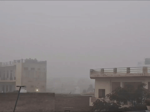 Rajasthan Weather: Cold Wave Subsides in Shekhawati, No Major Change Expected for a Week