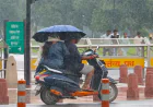 Rajasthan Weather Update: Yellow & Orange Alerts Issued Amid Rain and Storms