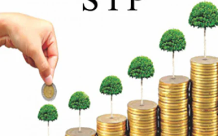 Investment: Disciplined investing requires a balanced portfolio, not a multitude of SIPs.