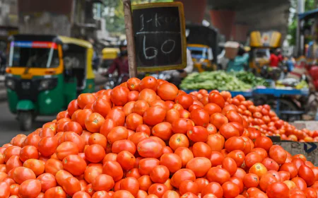 India Retail Inflation Rises to 3.21% in February Amid Global Oil Concerns