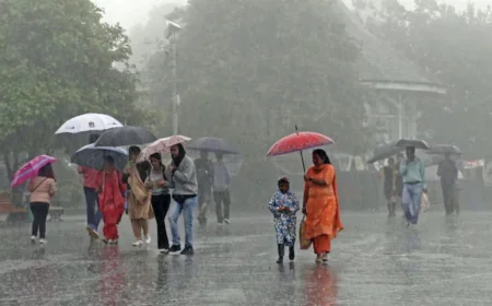 Western Disturbance to Trigger Thunderstorms and Rain Across Rajasthan Till March-End